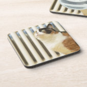 Dessous-de-verre Chat à côté de radiateur (Côté gauche)