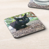 Dessous-de-verre chat alerté se cachant sous le buisson (Côté gauche)