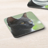 Dessous-de-verre Chat bleu russe (Côté gauche)