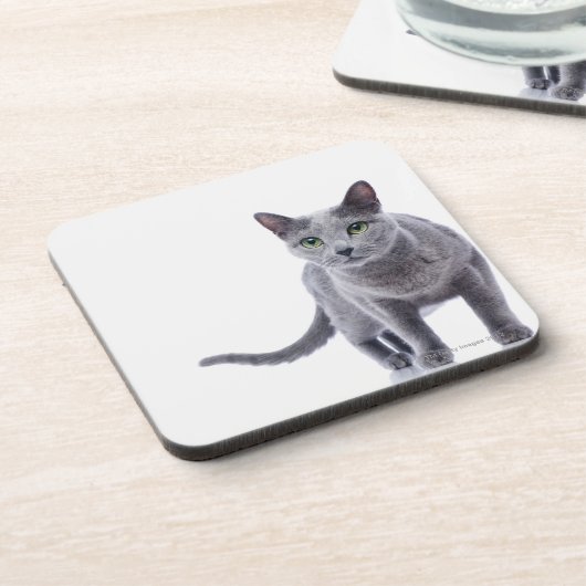 Dessous-de-verre Chat bleu russe (Côté gauche)