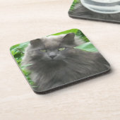 Dessous-de-verre Chat bleu russe gris-long (Côté gauche)