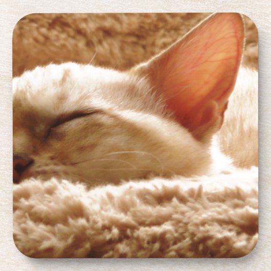 Dessous-de-verre Chat couché (Devant)
