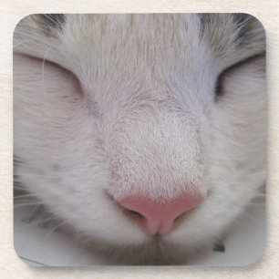 Dessous-de-verre Chat couché