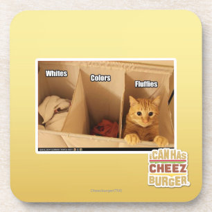 Dessous-de-verre Chat de blanchisserie