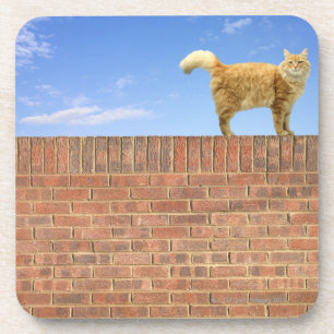 Dessous-de-verre Chat de gingembre se tenant sur le mur de briques