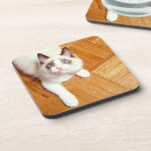 Dessous-de-verre Chat de Ragdoll sur le plancher, vue élevée (Côté gauche)