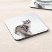 Dessous-de-verre Chat de ragondin du Maine (Côté gauche)