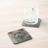 Dessous-de-verre Chat de ragondin principal (Côté Droit)