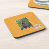 Dessous-de-verre Chat d'opéra (Côté gauche)