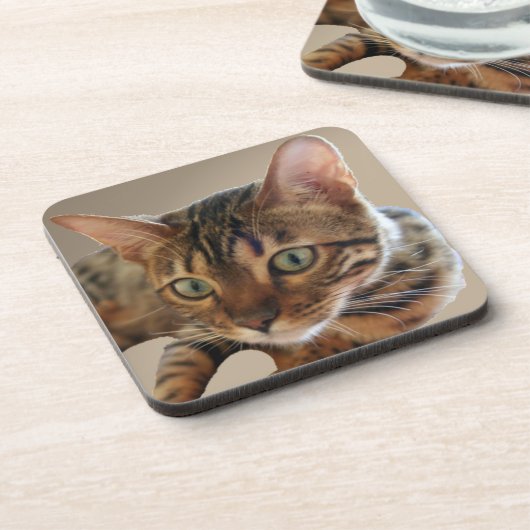 Dessous-de-verre Chat du Bengale (Côté gauche)