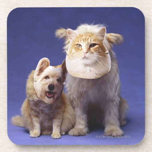 Dessous-de-verre Chat et chien avec des masques (Devant)