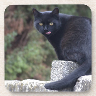 Dessous-de-verre Chat noir