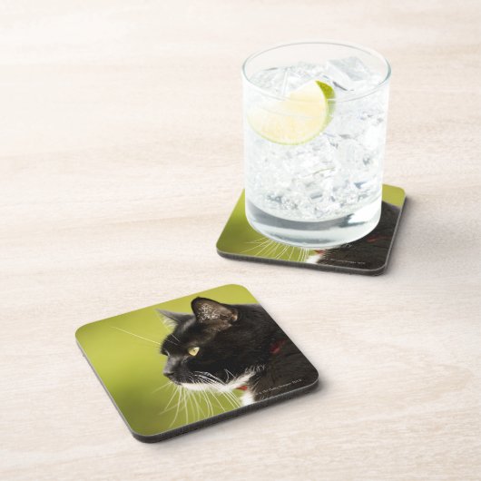 Dessous-de-verre Chat noir (Côté Droit)