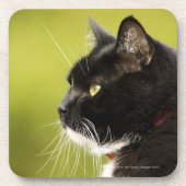 Dessous-de-verre Chat noir (Devant)