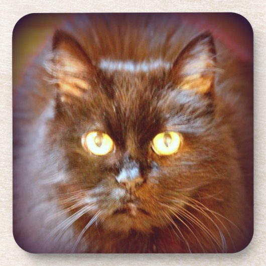 Dessous-de-verre chat noir (Devant)