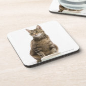 Dessous-de-verre Chat par la cuvette (Côté gauche)
