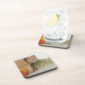 Dessous-de-verre Chaton à l'intérieur de sac d'épicerie (Côté Droit)