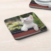 Dessous-de-verre Chaton blanc turc (Côté gauche)