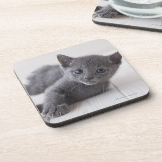 Dessous-de-verre Chaton bleu russe (Côté gauche)