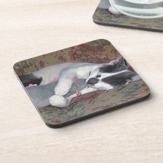 Dessous-de-verre Chaton couchant (Côté gauche)