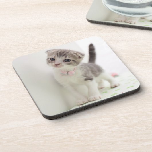 Dessous-de-verre Chaton de pli d'écossais (Côté gauche)