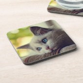 Dessous-de-verre Chaton de Ragdoll (Côté gauche)