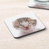 Dessous-de-verre Chaton de sommeil (Côté gauche)