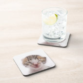 Dessous-de-verre Chaton de sommeil (Côté Droit)