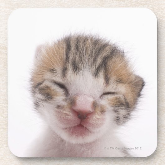 Dessous-de-verre Chaton de sommeil (Devant)