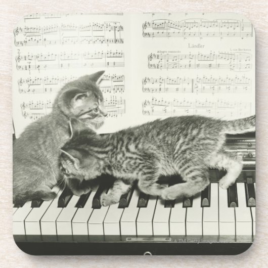 Dessous-de-verre Chaton deux jouant sur le clavier de piano, (B&W) (Devant)