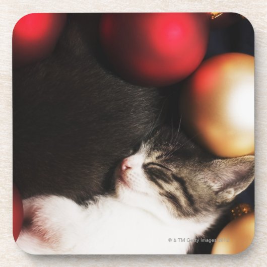 Dessous-de-verre Chaton dormant dans les décorations (Devant)