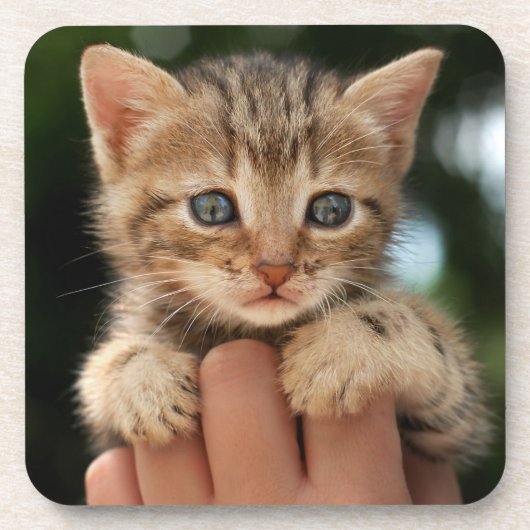 Dessous-de-verre Chaton doux de bébé (Devant)