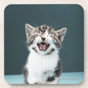 Dessous-de-verre Chaton meowing