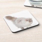 Dessous-de-verre Chaton persan (3 mois) (Côté gauche)