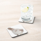 Dessous-de-verre Chaton persan (3 mois) (Côté Droit)