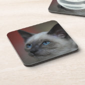 Dessous-de-verre Chaton siamois (Côté gauche)