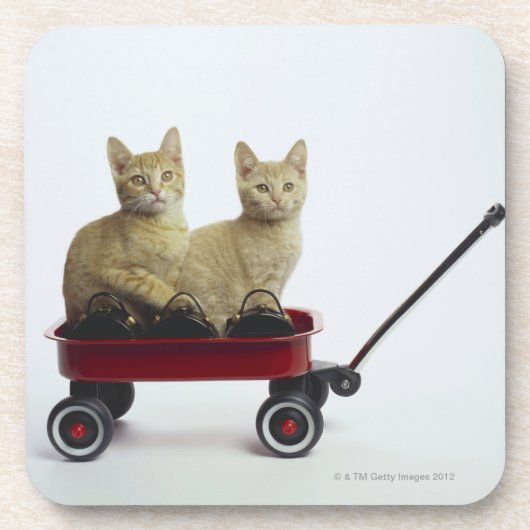 Dessous-de-verre Chatons dans le chariot (Devant)
