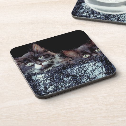 Dessous-de-verre Chatons dans le récipient (Côté gauche)