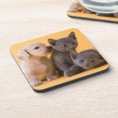 Dessous-de-verre Chatons et chiots bleus russes de teckel (Côté gauche)