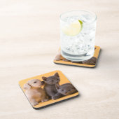 Dessous-de-verre Chatons et chiots bleus russes de teckel (Côté Droit)