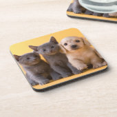 Dessous-de-verre Chatons et chiots bleus russes de teckel (Côté gauche)