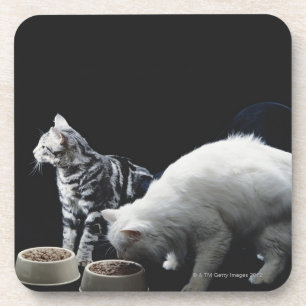 Dessous-de-verre Chats avec le bol de nourriture