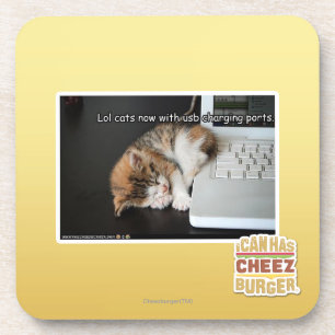 Dessous-de-verre Chats de Lol avec USB