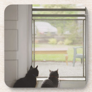 Dessous-de-verre Chats regardant la porte grillagée