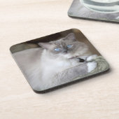 Dessous-de-verre Chatte Ragdoll (Côté gauche)