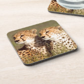 Dessous-de-verre Cheetah Lying (Côté gauche)