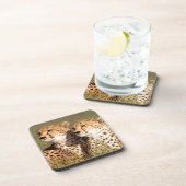 Dessous-de-verre Cheetah Lying (Côté Droit)