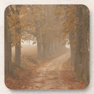 Dessous-de-verre Chemin boisé bordé d'arbres d'automne