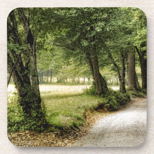 Dessous-de-verre Chemin dans le pays (Devant)