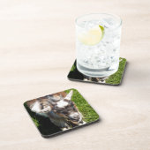 DESSOUS-DE-VERRE CHÈQUE CUTE (Côté Droit)